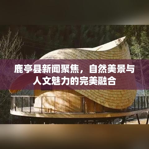 鹿亭县新闻聚焦，自然美景与人文魅力的完美融合