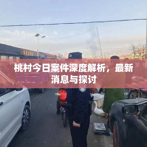 桃村今日案件深度解析，最新消息与探讨