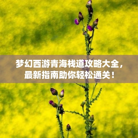 梦幻西游青海栈道攻略大全，最新指南助你轻松通关！