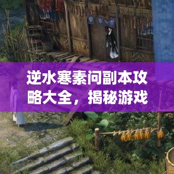 逆水寒素问副本攻略大全，揭秘游戏世界的未知秘密！