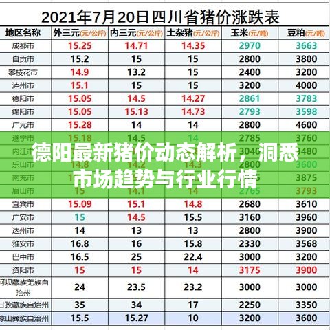 德阳最新猪价动态解析，洞悉市场趋势与行业行情