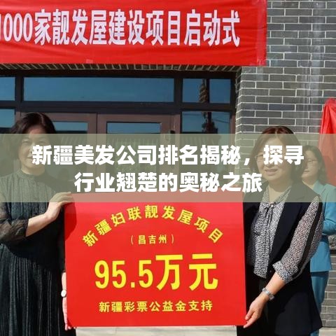 新疆美发公司排名揭秘，探寻行业翘楚的奥秘之旅
