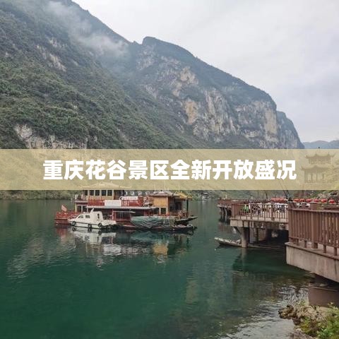重庆花谷景区全新开放盛况