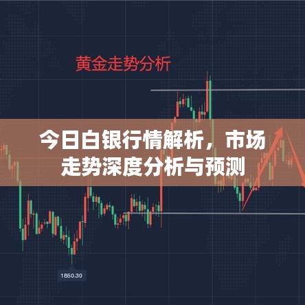 今日白银行情解析，市场走势深度分析与预测