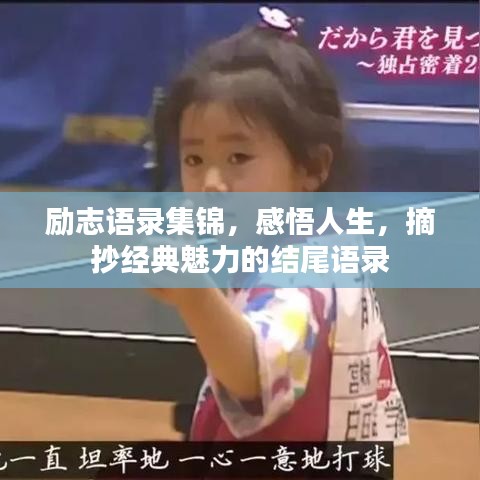 励志语录集锦，感悟人生，摘抄经典魅力的结尾语录