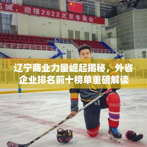辽宁商业力量崛起揭秘，外省企业排名前十榜单重磅解读