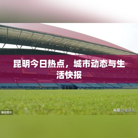 昆明今日热点，城市动态与生活快报