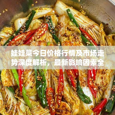 娃娃菜今日价格行情及市场走势深度解析，最新影响因素全解析