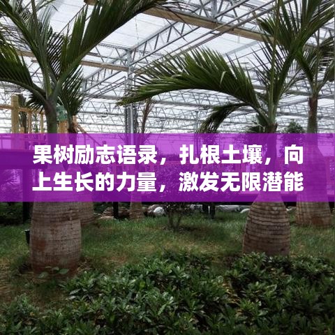 果树励志语录，扎根土壤，向上生长的力量，激发无限潜能！