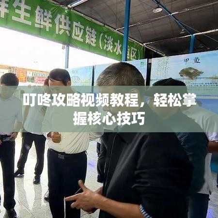 叮咚攻略视频教程，轻松掌握核心技巧