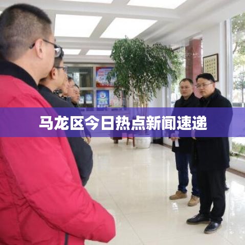马龙区今日热点新闻速递