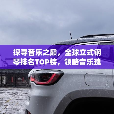 探寻音乐之巅，全球立式钢琴排名TOP榜，领略音乐瑰宝之美！