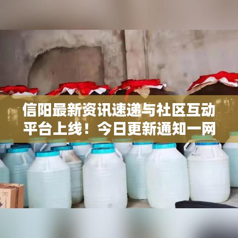 信阳最新资讯速递与社区互动平台上线！今日更新通知一网打尽