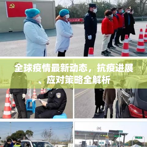 全球疫情最新动态，抗疫进展、应对策略全解析