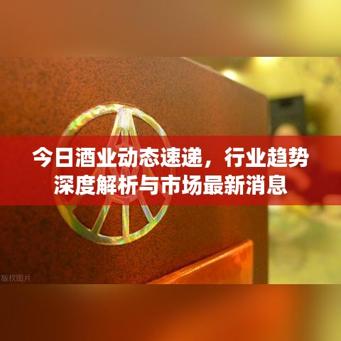 今日酒业动态速递,行业趋势深度解析与市场最新消息