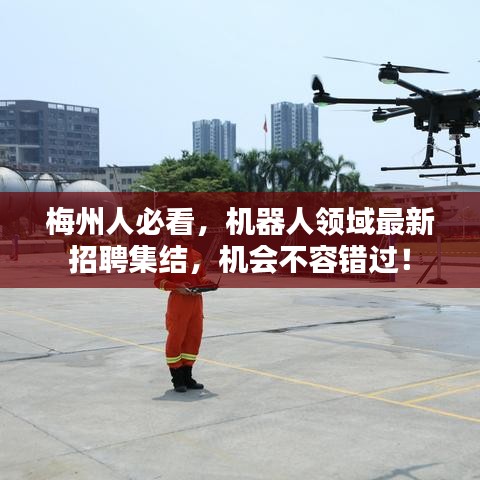 梅州人必看，机器人领域最新招聘集结，机会不容错过！