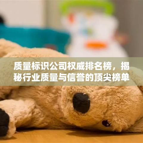 质量标识公司权威排名榜，揭秘行业质量与信誉的顶尖榜单