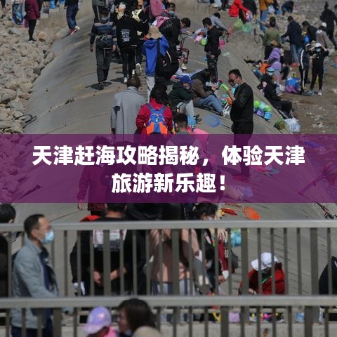 天津赶海攻略揭秘,体验天津旅游新乐趣!