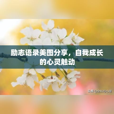 励志语录美图分享，自我成长的心灵触动