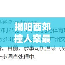揭阳西郊撞人案最新进展揭秘,案件结果令人震惊
