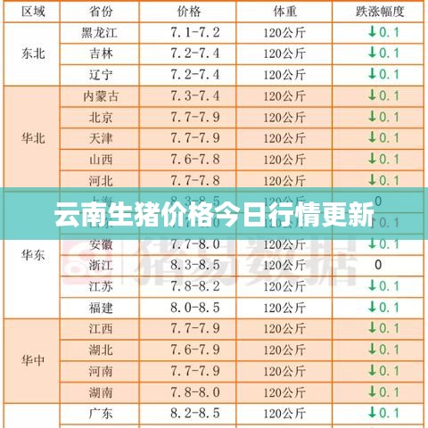 云南生猪价格今日行情更新