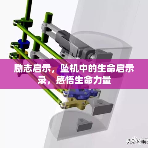 励志启示，坠机中的生命启示录，感悟生命力量