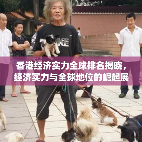 香港经济实力全球排名揭晓，经济实力与全球地位的崛起展现财富世界风采