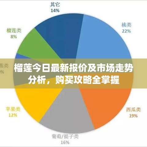 榴莲今日最新报价及市场走势分析,购买攻略全掌握
