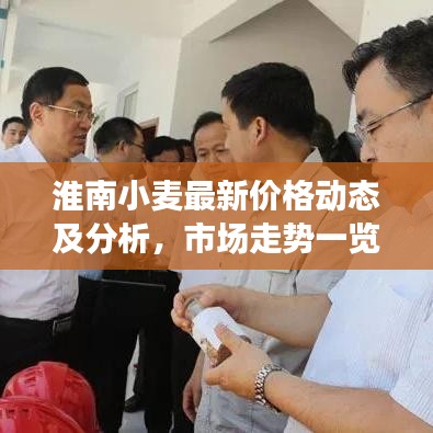 淮南小麦最新价格动态及分析，市场走势一览