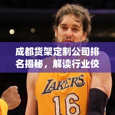 成都货架定制公司排名揭秘，解读行业佼佼者，满足您的仓储需求首选伙伴