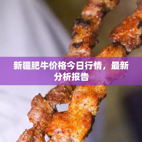 新疆肥牛价格今日行情，最新分析报告