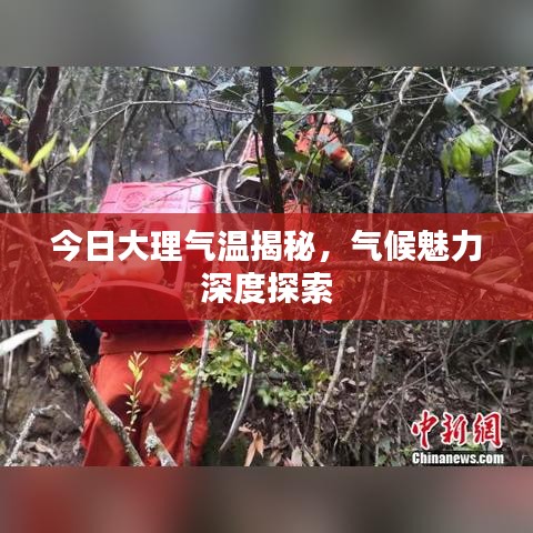 今日大理气温揭秘，气候魅力深度探索