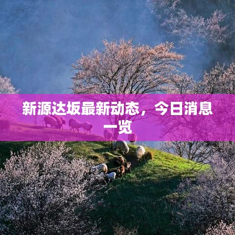 新源达坂最新动态，今日消息一览