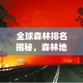 全球森林排名揭秘，森林地位与重要性的深度剖析