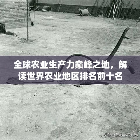 全球农业生产力巅峰之地，解读世界农业地区排名前十名