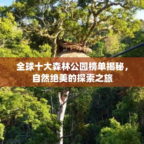 全球十大森林公园榜单揭秘，自然绝美的探索之旅