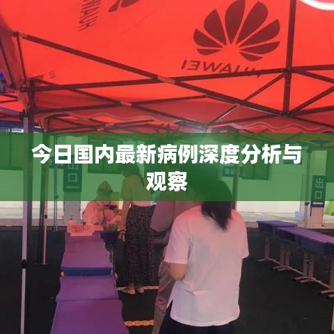 今日国内最新病例深度分析与观察