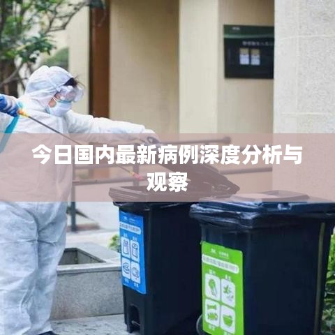 今日国内最新病例深度分析与观察
