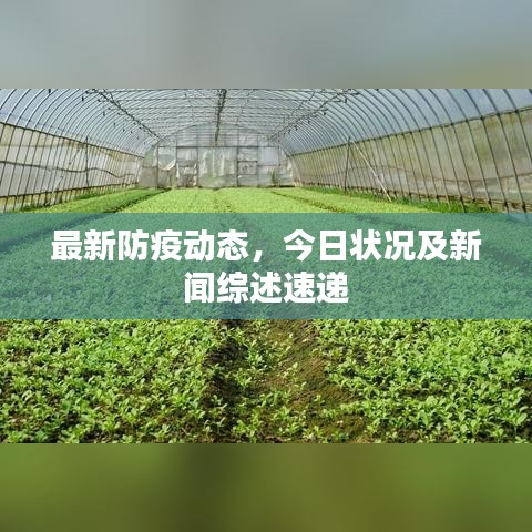 听见风就是雨 第9页