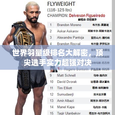 世界羽量级排名大解密，顶尖选手实力超强对决