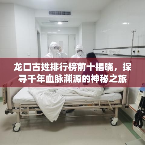 龙口古姓排行榜前十揭晓,探寻千年血脉渊源的神秘之旅