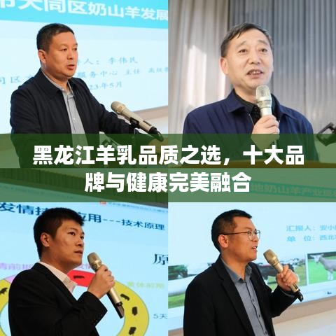 黑龙江羊乳品质之选，十大品牌与健康完美融合