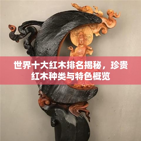 世界十大红木排名揭秘，珍贵红木种类与特色概览