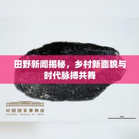 田野新闻揭秘，乡村新面貌与时代脉搏共舞