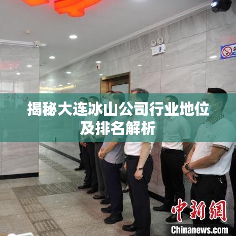 揭秘大连冰山公司行业地位及排名解析