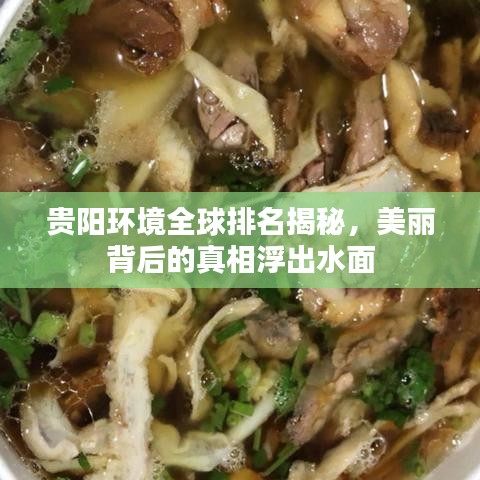 贵阳环境全球排名揭秘，美丽背后的真相浮出水面