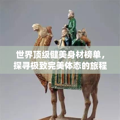 世界顶级健美身材榜单，探寻极致完美体态的旅程