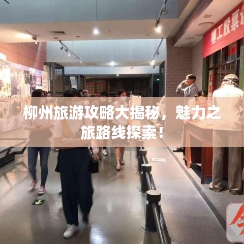 柳州旅游攻略大揭秘，魅力之旅路线探索！