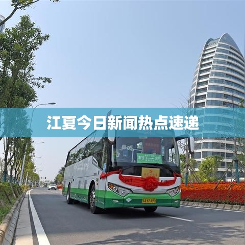 江夏今日新闻热点速递