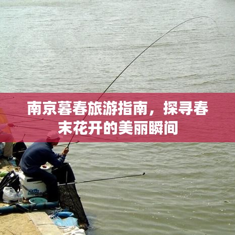 南京暮春旅游指南，探寻春末花开的美丽瞬间